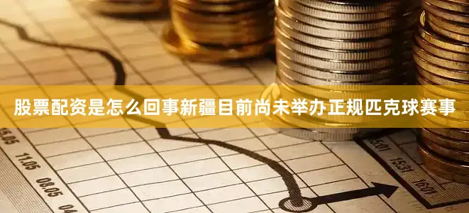 股票配资是怎么回事新疆目前尚未举办正规匹克球赛事