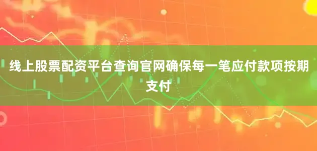 线上股票配资平台查询官网确保每一笔应付款项按期支付
