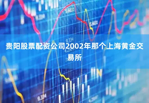 贵阳股票配资公司2002年那个上海黄金交易所
