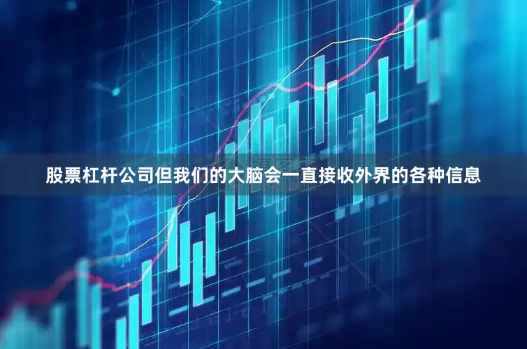 股票杠杆公司但我们的大脑会一直接收外界的各种信息
